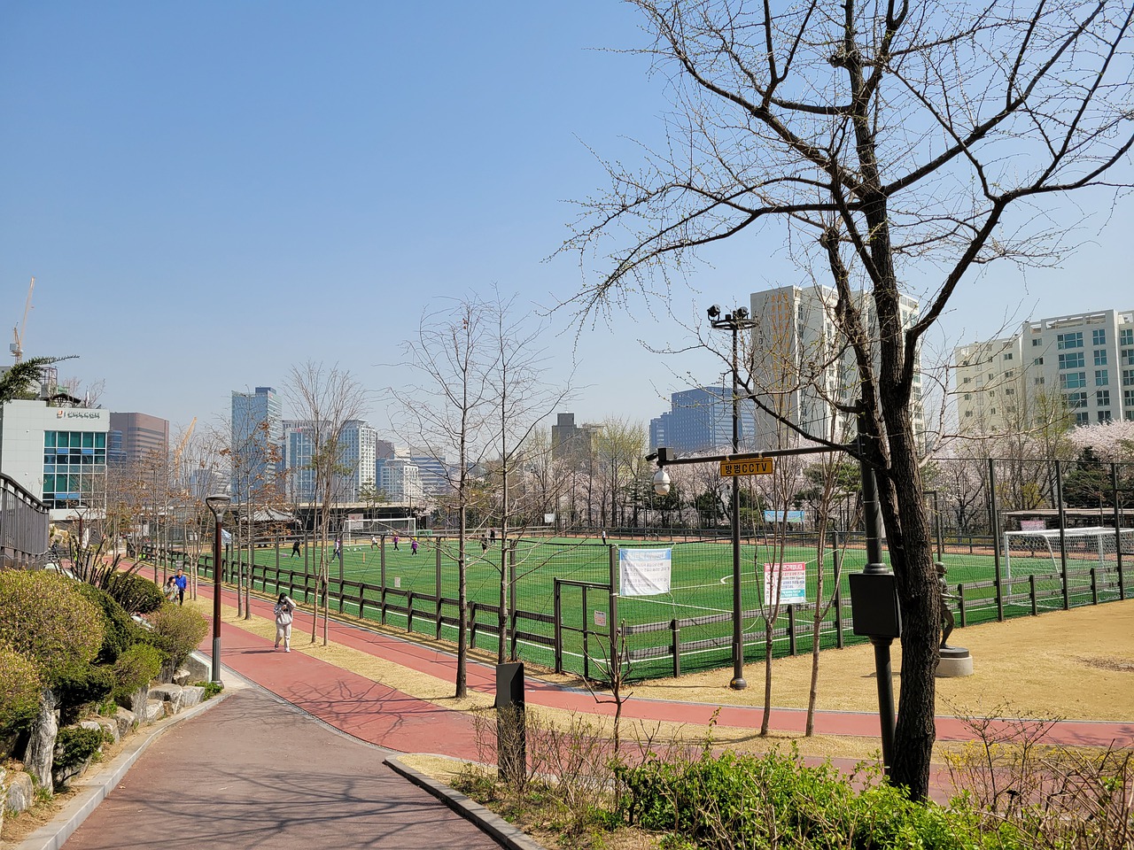 奋剂程序的 奋剂程序的